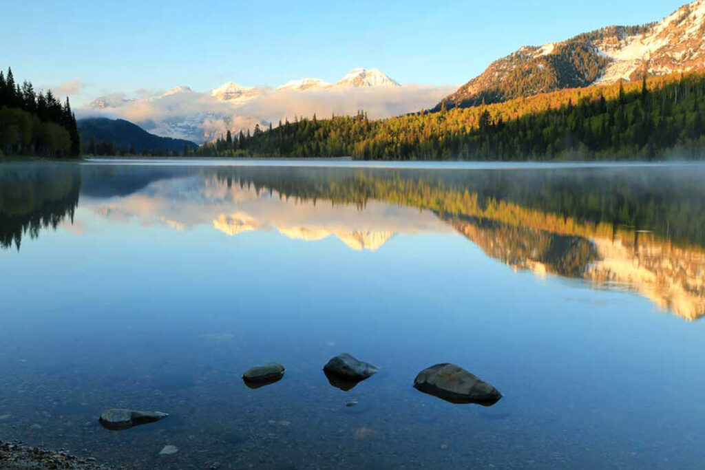 canna mosca lago